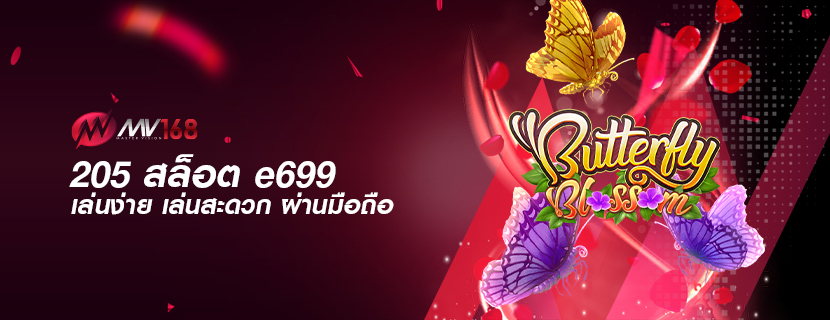 205 สล็อต e699 เล่นง่าย เล่นสะดวก ผ่านมือถือ